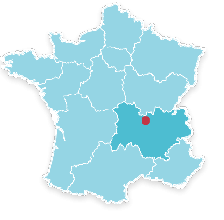 42122 ST MARCEL DE FELINES